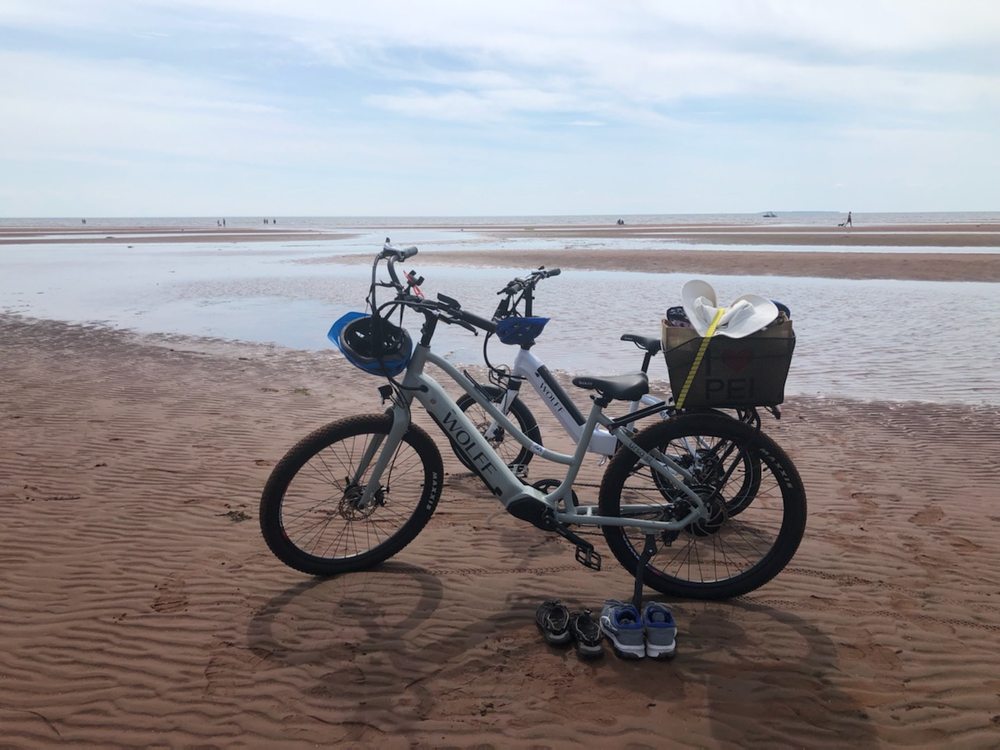 Rising Tide Electric Bicycles