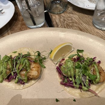 Agricola Eatery - Shrimp tacos - New American Near Me - Princeton, New Jersey