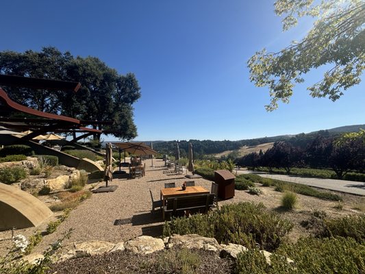 Denner Vineyards by null