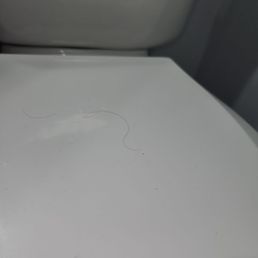 Hair on toilet lid, toilet running. Hair on toilet lid, toilet running.