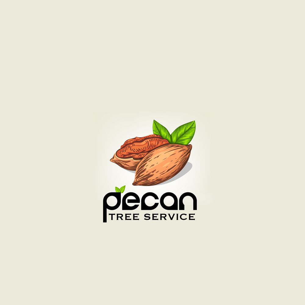 PECAN TREE SERVICE Updated July 2024 Garland, Texas Tree Services