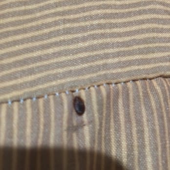 Pleasant Hill Inn - Bed bug infestation - Hotels Near Me - Pleasant Hill, California