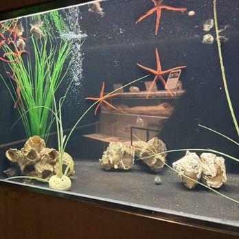 Seaside Aquarium - Aquariums Near Me - Seaside, Oregon