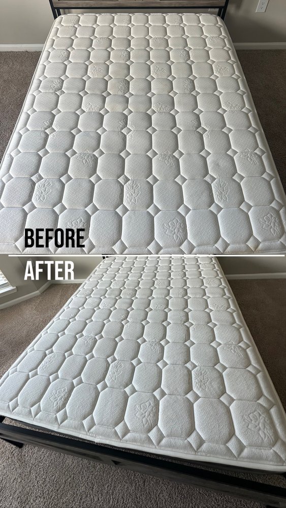 Cleanora Upholstery Cleaning - upholstery in Pineville, NC