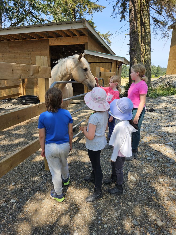 Peninsula Equestrian Logo