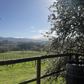 Lumos Wine - Wineries Near Me - Philomath, Oregon