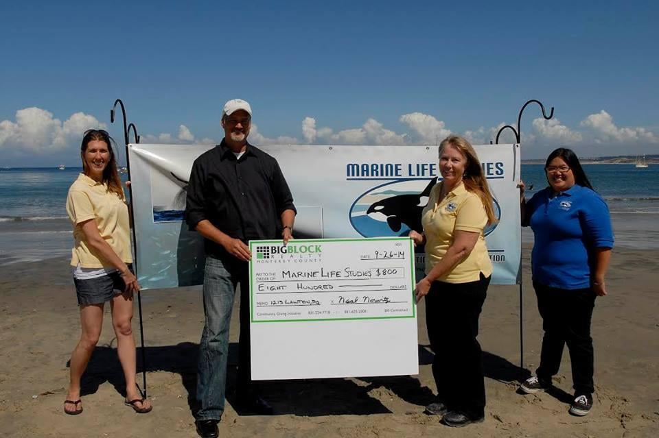 BILL CARMICHAEL BIG BLOCK REALTY 16 Photos 317 Mid Valley Ctr