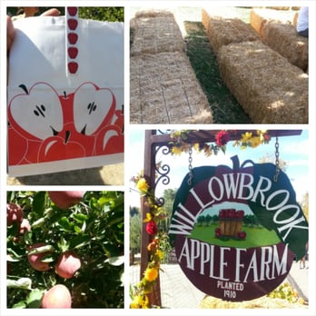 Willowbrook Apple Farm - Pick Your Own Farms Near Me - Oak Glen, California Willowbrook Apple Farm - Pick Your Own Farms Near Me - Oak Glen, California