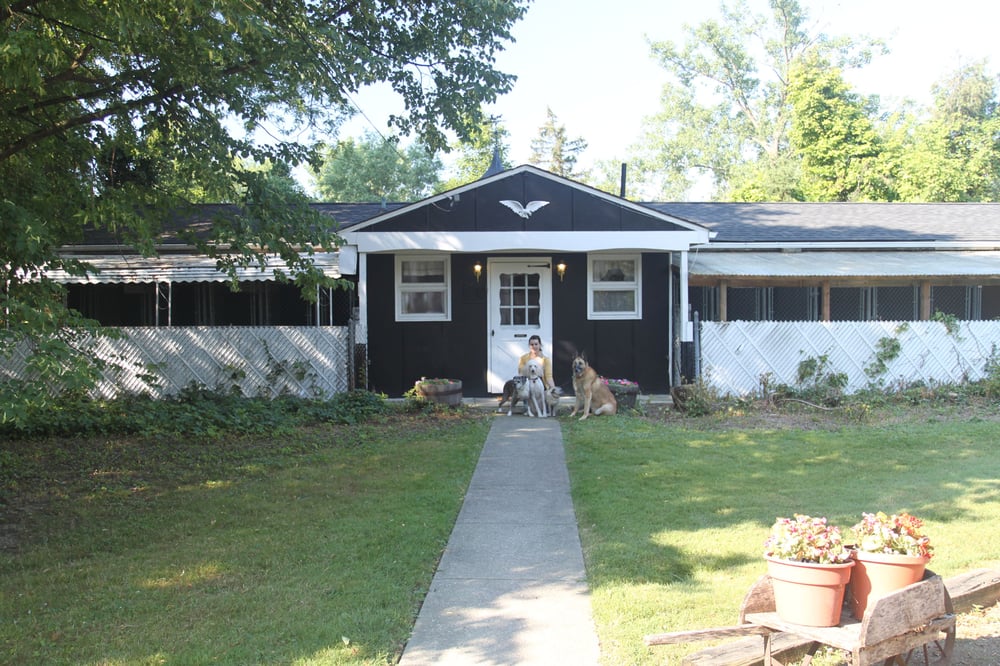 THE KENNEL HOUSE Updated September 2024 482 Substation Rd, Brunswick, Ohio Pet Sitting