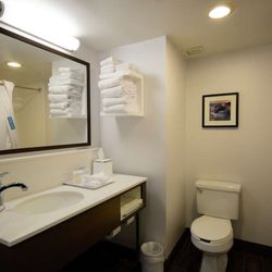 Hampton Inn Salem East-Electric Road - Guest room bath