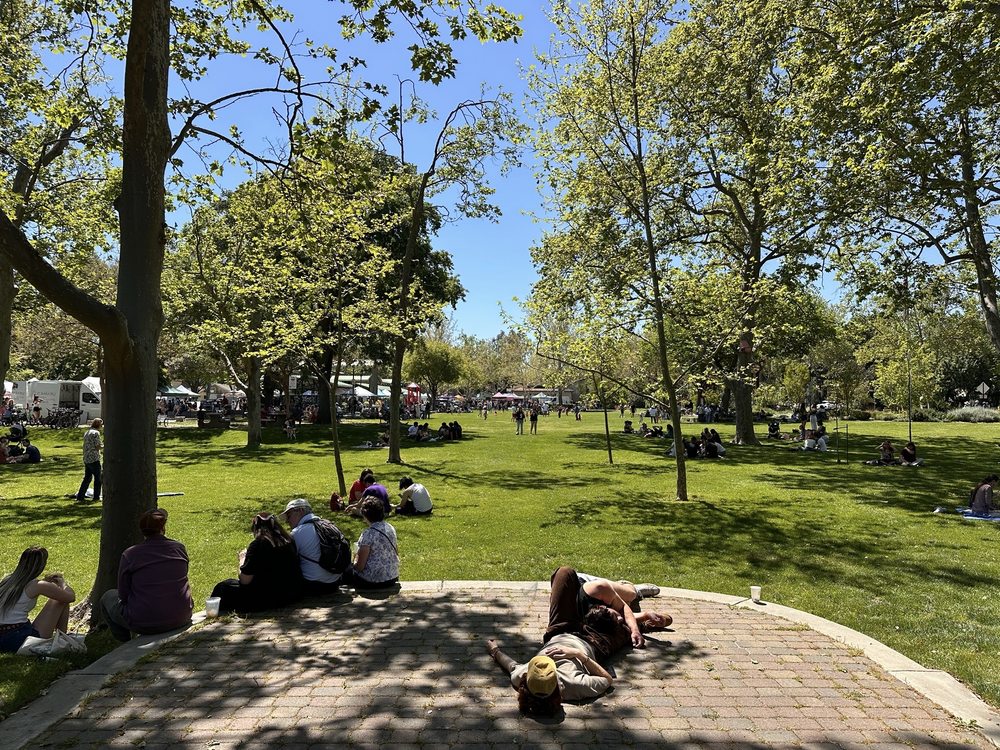 Social spots from Central Park