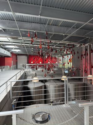 HALL Wines St. Helena by null