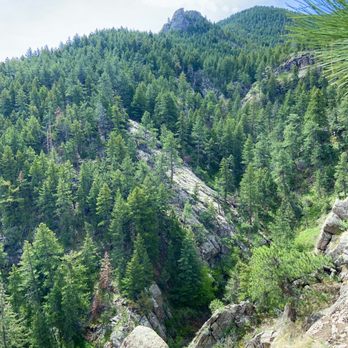 Gregory Canyon - View of the canyon from the trail - A scenic mountain landscape showing a deep canyon with rocky slopes and dense pine forest. The terrain is rugged with large rocks and steep inclines, and a mountain peak is visible in the distance under a partly cloudy sky. The image captures the natural, untouched wilderness of a forested mountain area. - Hiking Near Me - Boulder, Colorado