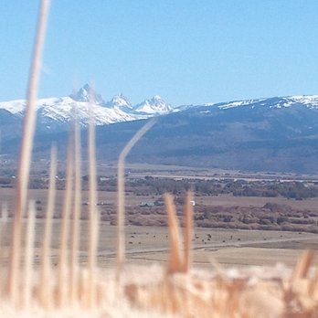 Wilson Tree Service - Tree Services Near Me - Driggs, Idaho Wilson Tree Service - Tree Services Near Me - Driggs, Idaho