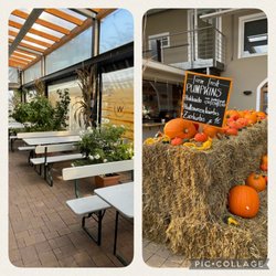 Kürbisse sind zum Verkauf und eine der überdachten Terrassen / Pumpkins are for sale and one of the covered patios