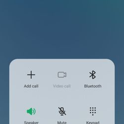 Papa Johns Pizza - Waiting on hold for them.