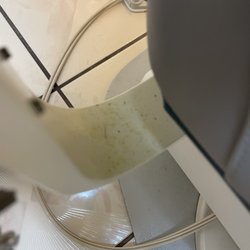 People Dental - The chair they sat my son in.