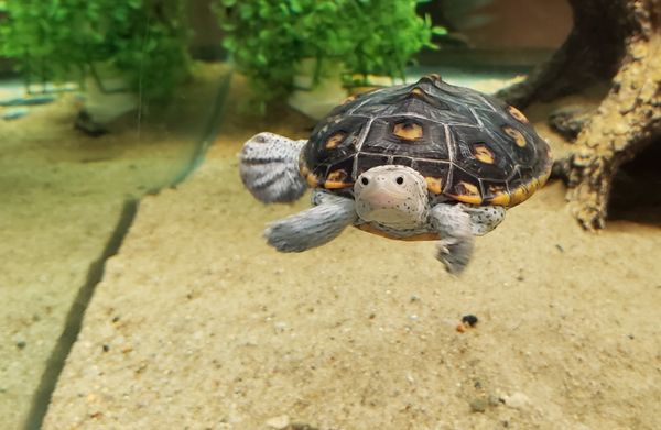 Biomes Marine Biology Center by null