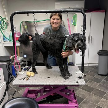 Mutts, Cuts & Wiggly Butts - Pet Groomers Near Me Mutts, Cuts & Wiggly Butts - Pet Groomers Near Me