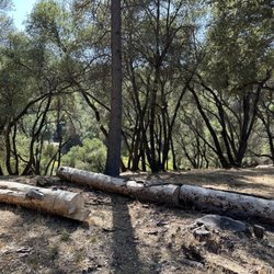Arias Tree Service