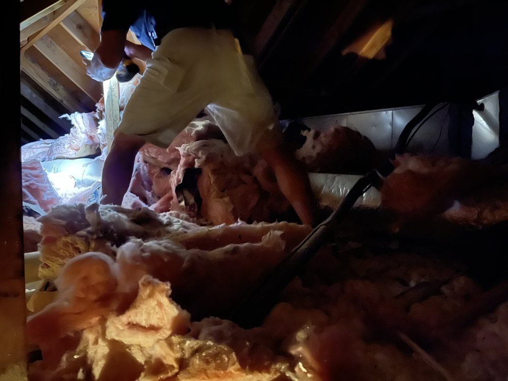 Slide of Armour Spray Foam