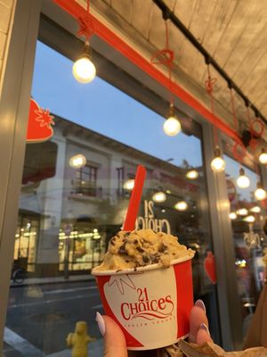 21 Choices Frozen Yogurt by null