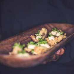 Paradox Catering & Consulting