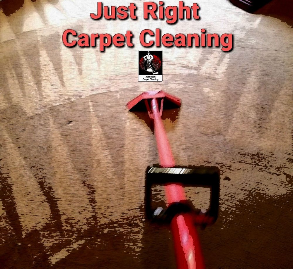 JUST RIGHT CARPET CLEANING OF WEST ASHLEY Updated September 2024