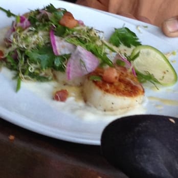 50 Ocean - Seafood Near Me - Delray Beach, Florida 50 Ocean - Seafood Near Me - Delray Beach, Florida