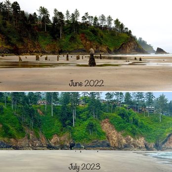 Neskowin Beach State Park - It's mind blowing how much the beach has changed in just one year!! The ghost forest is almost buried again :-o - Beaches Near Me Neskowin Beach State Park - It's mind blowing how much the beach has changed in just one year!! The ghost forest is almost buried again :-o - Beaches Near Me