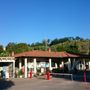 Photo of Norcenni Girasole Club