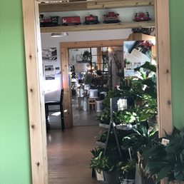 the entrance to the store
