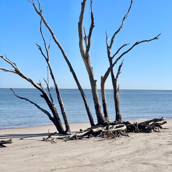 Big Talbot Island State Park - Trees and water - Parks Near Me - Jacksonville, Florida Big Talbot Island State Park - Trees and water - Parks Near Me - Jacksonville, Florida