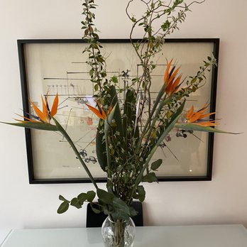 Bunches - Florists Near Me - Chicago, Illinois