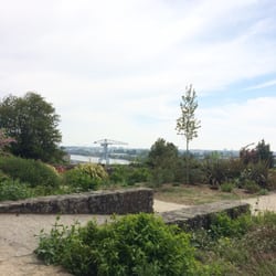 Parc des Oblates - Vue folle sur la grue grise