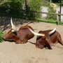 Photo of Zoo de Maubeuge