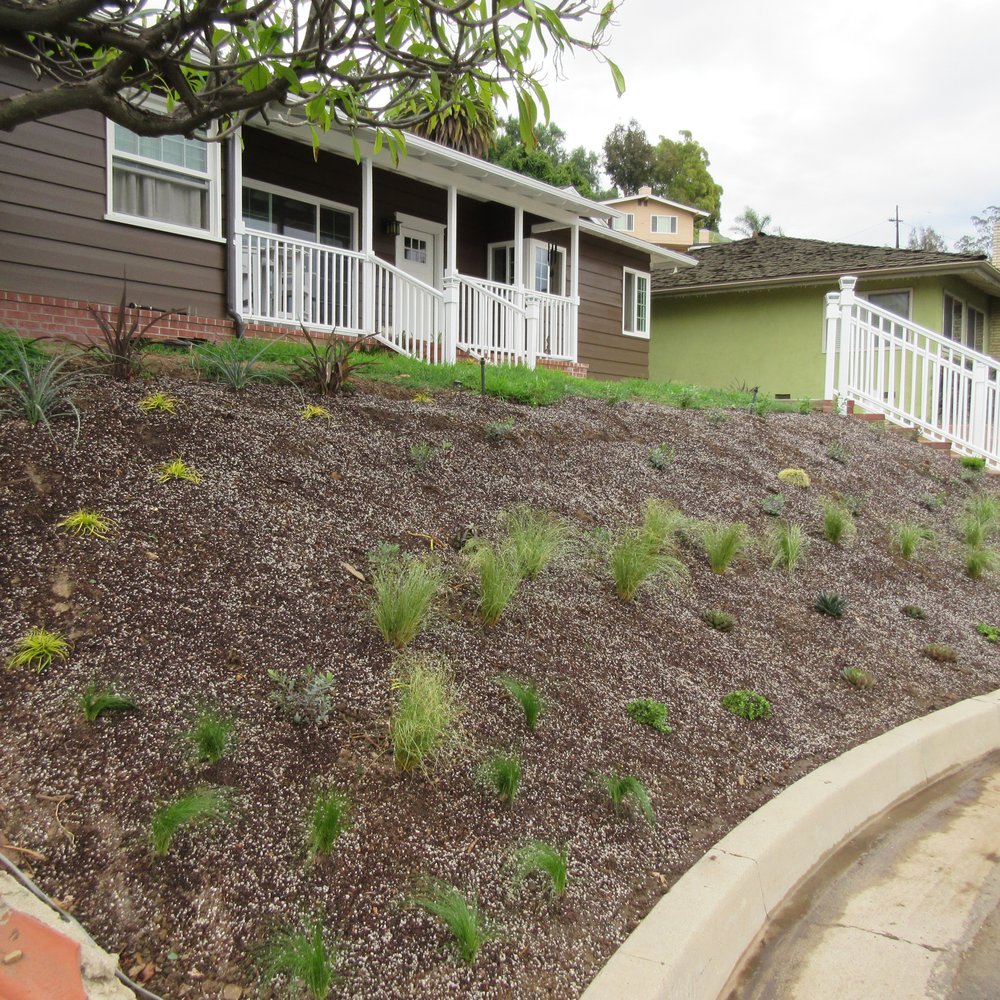 Eco Method Interiors - great plants for a slopping yard ! - Interior Design Near Me Eco Method Interiors - great plants for a slopping yard ! - Interior Design Near Me