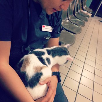 vca briarcliff animal hospital