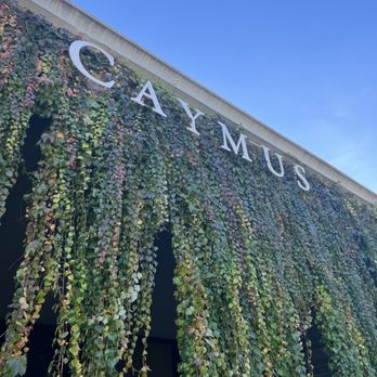 Caymus Vineyards - Caymus outdoors - Wineries Near Me - Rutherford, California Caymus Vineyards - Caymus outdoors - Wineries Near Me - Rutherford, California