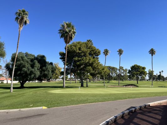 Sun City Country Club by null