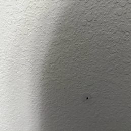 Holes in wall
