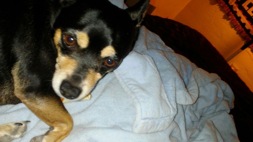 Cope Behavioral Services - grief counselor in Tucson, AZ