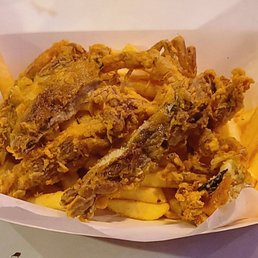 CAP’T LOUI - Updated September 2025 - 361 Photos & 144 Reviews - 10 ...