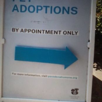 Pasadena Humane - Animal Shelters Near Me - Pasadena, California