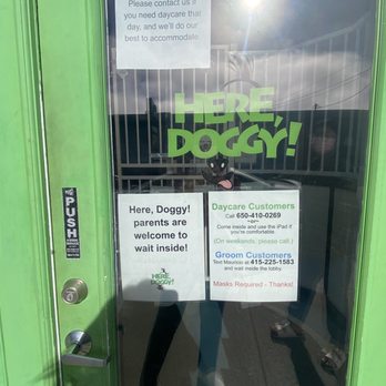 Here, Doggy! - Pet Groomers Near Me - South San Francisco, California Here, Doggy! - Pet Groomers Near Me - South San Francisco, California