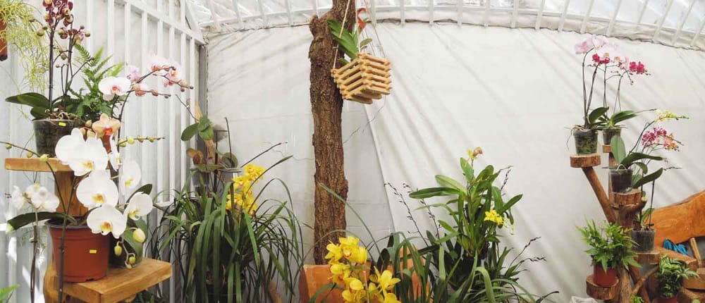 Casa Orquídea