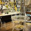 Trader Maes Furniture and Decor Market gift card