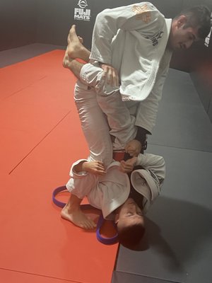 Sweet Science Boxing & MMA by null