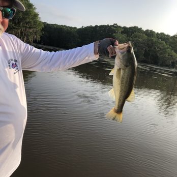 Allen's Guide and Tour Service - Another one of the bass we caught - Fishing Near Me - Vivian, Louisiana Allen's Guide and Tour Service - Another one of the bass we caught - Fishing Near Me - Vivian, Louisiana