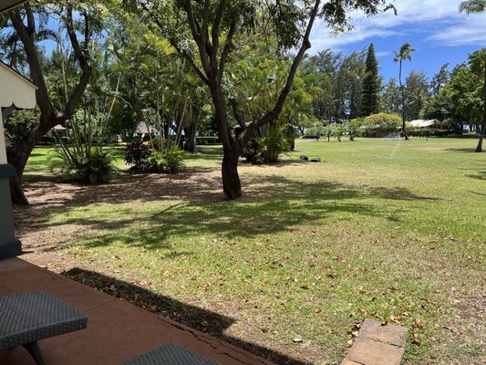 Waimea Plantation Cottages by null